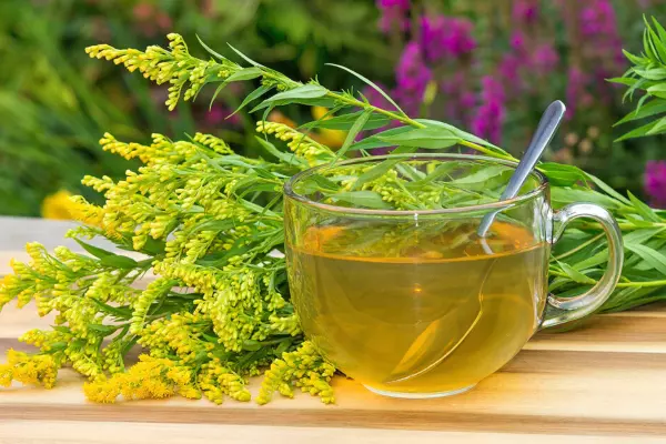 Goldenrod Tea Recipe