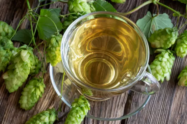 Hop Tea Recipe