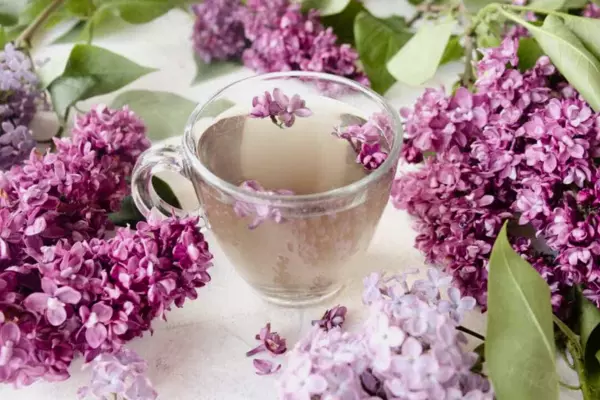 Lilac Tea Recipe