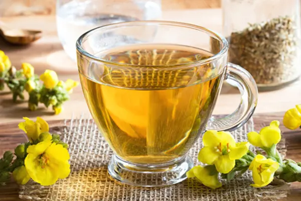 Mullein Tea Blend Recipe