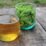 Slippery Elm Bark Tea Recipe