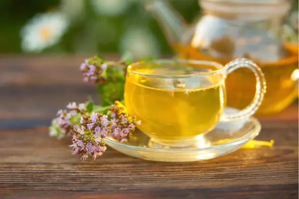 Catnip Tea Recipe A Soothing Herbal Elixir Best Tea Crafter