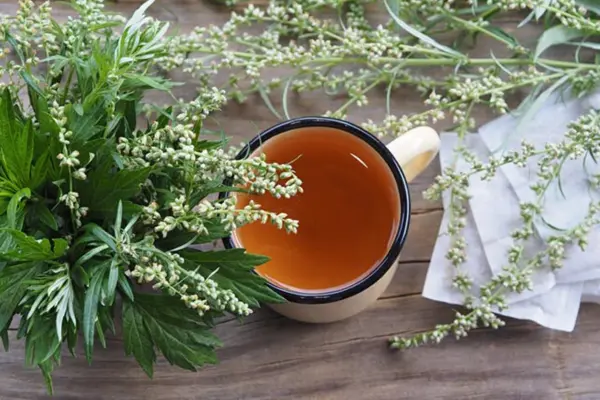 Mugwort Tea Recipe