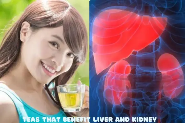 what-tea-is-good-for-liver-and-kidneys-a-comprehensive-guide-best