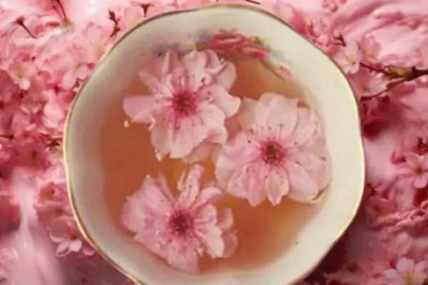 Cherry Blossom Tea Recipe